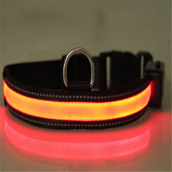 Collar fluorescente solar