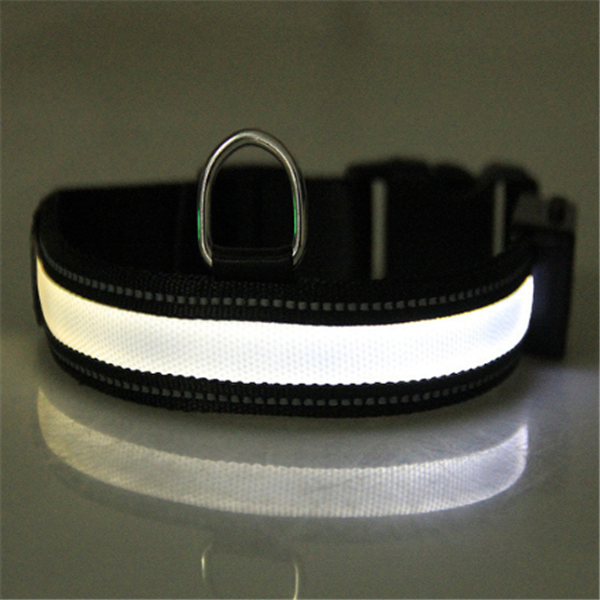 Collar fluorescente solar