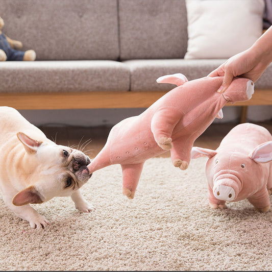 Teddy, el peluche para perros