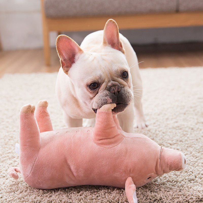 Teddy, el peluche para perros