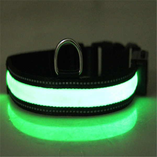 Collar fluorescente solar