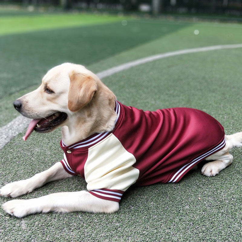 Ropa canina USA