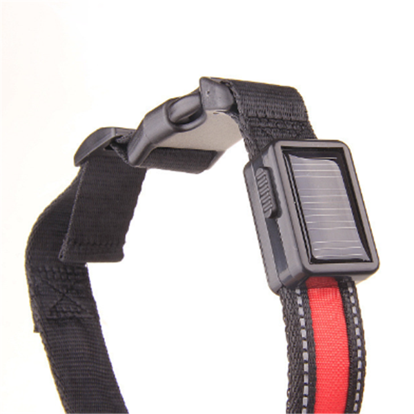 Collar fluorescente solar