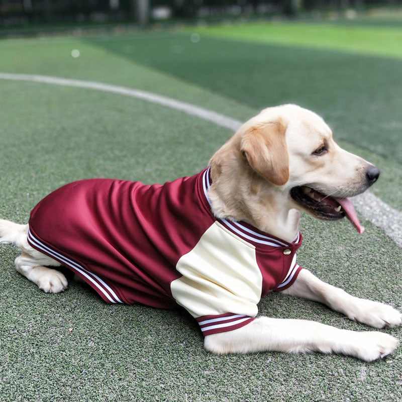 Ropa canina USA