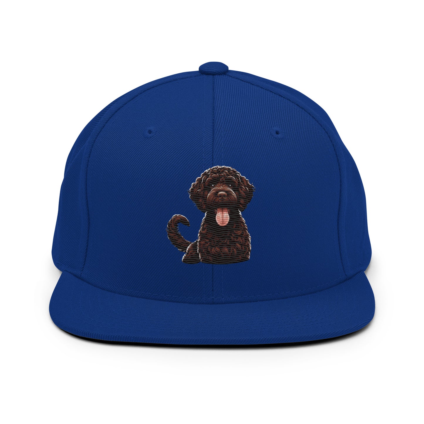 Gorra snapback water dog brown