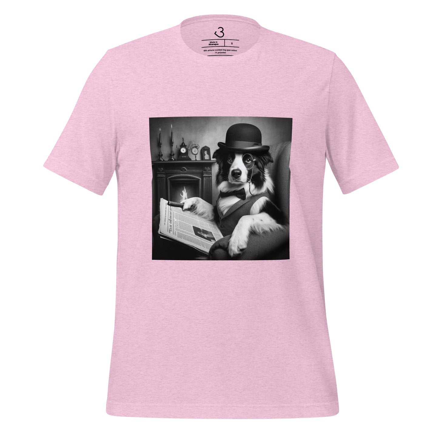 Camiseta collie cine