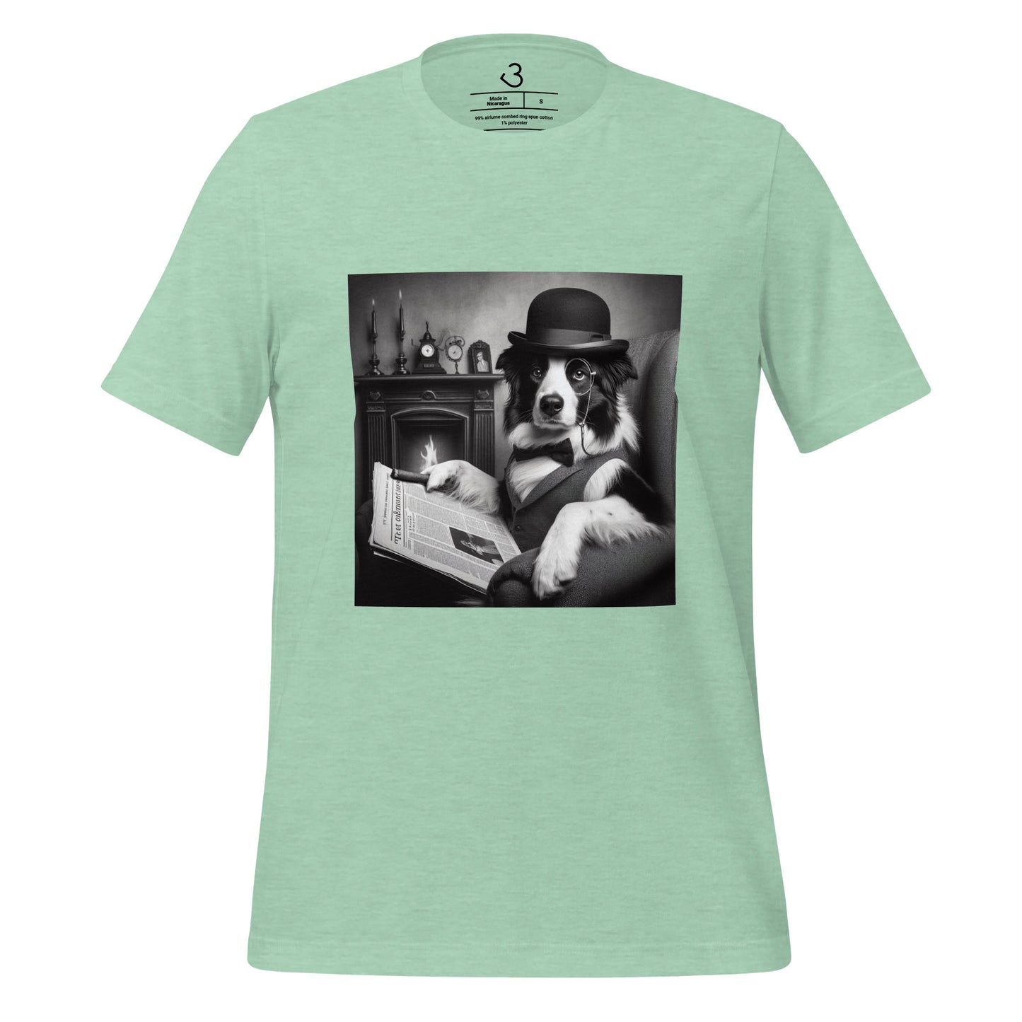 Camiseta collie cine