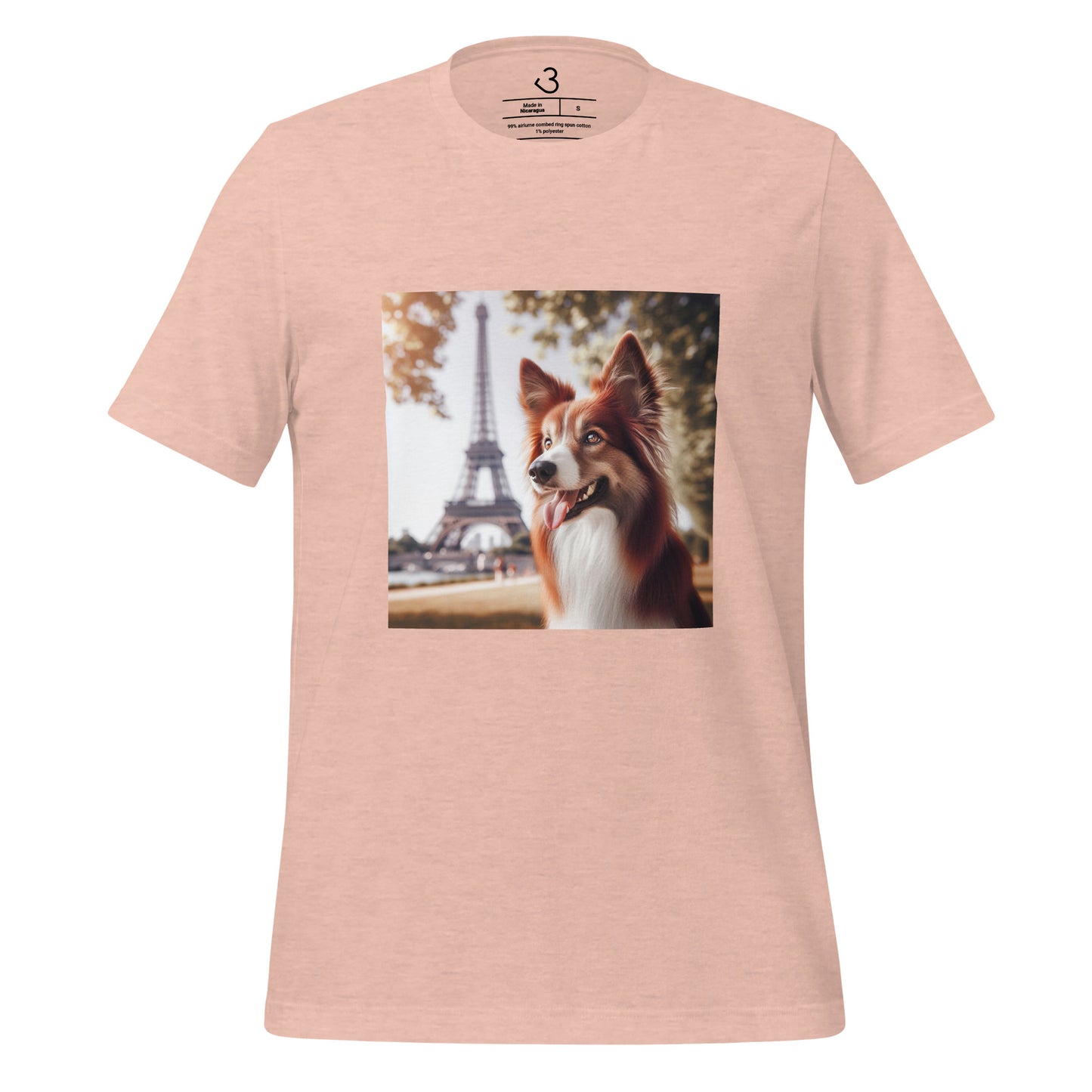 Camiseta collie París