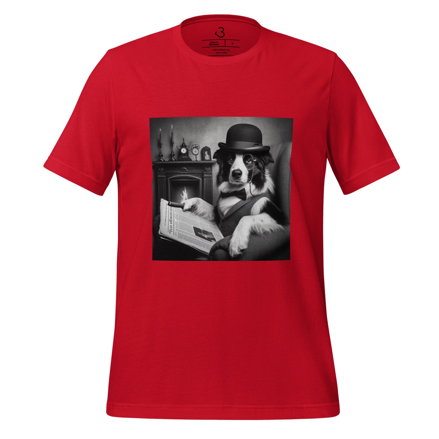 Camiseta collie cine