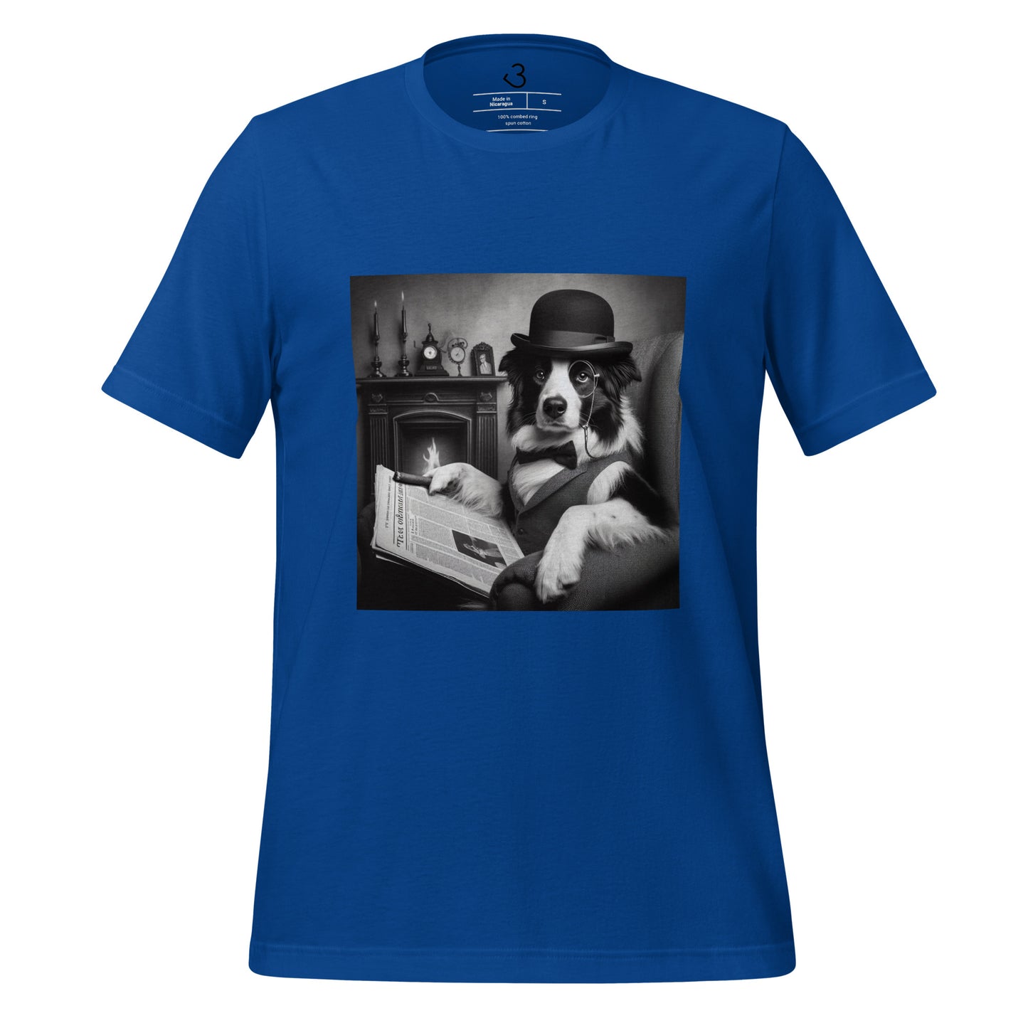 Camiseta collie cine